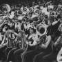 band8182.jpg